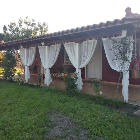 Olive Garden Guest House Кипарисия Екстериор снимка