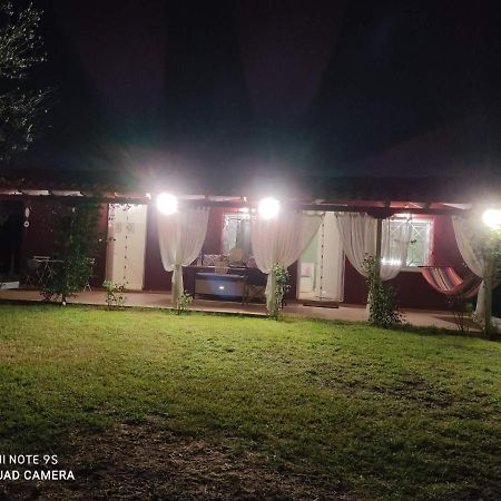 Olive Garden Guest House Кипарисия Екстериор снимка