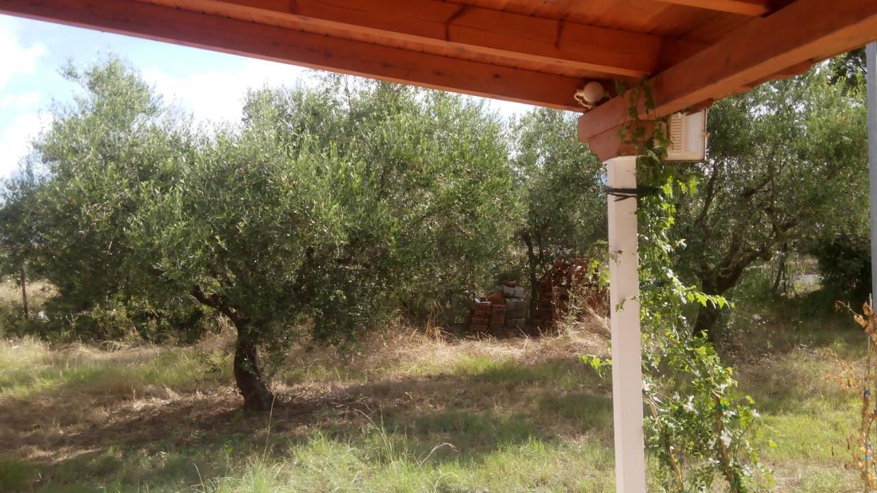 Olive Garden Guest House Кипарисия Екстериор снимка