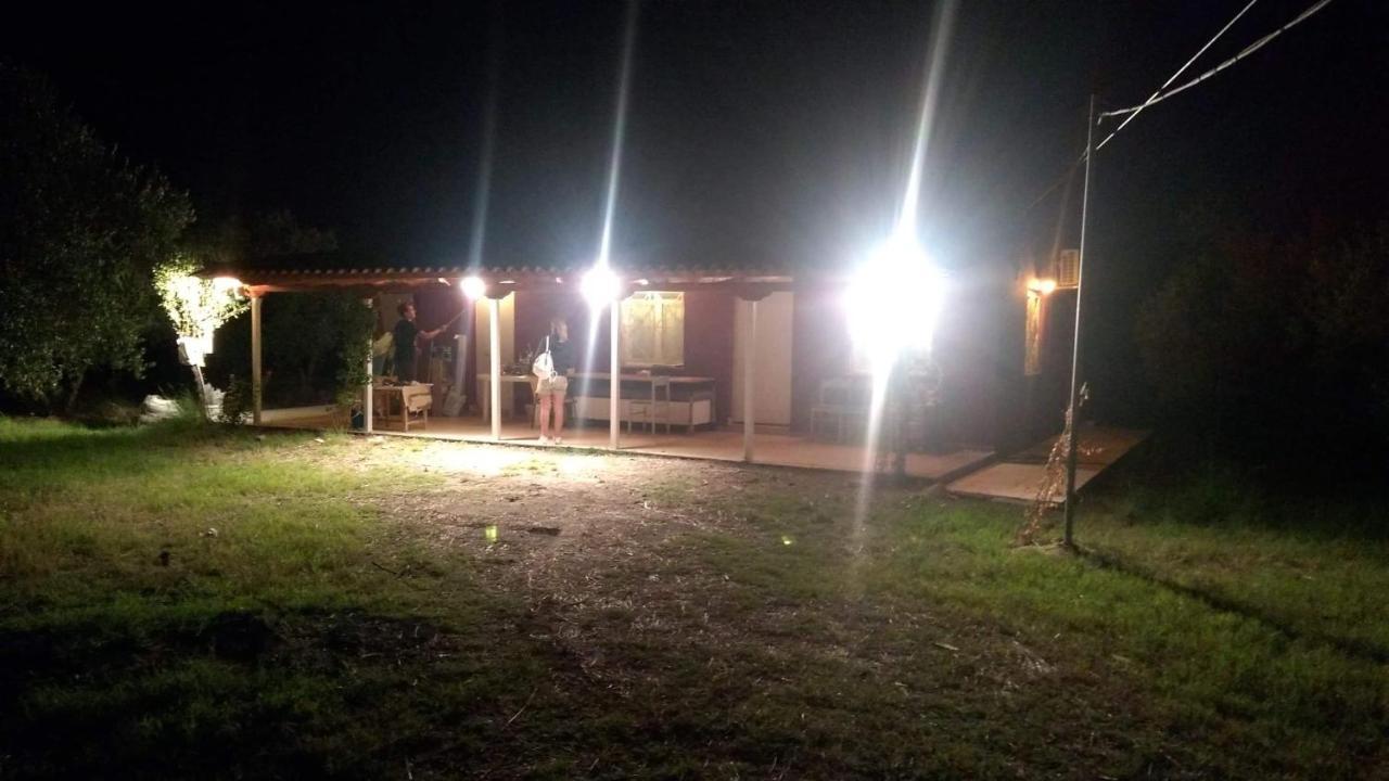 Olive Garden Guest House Кипарисия Екстериор снимка