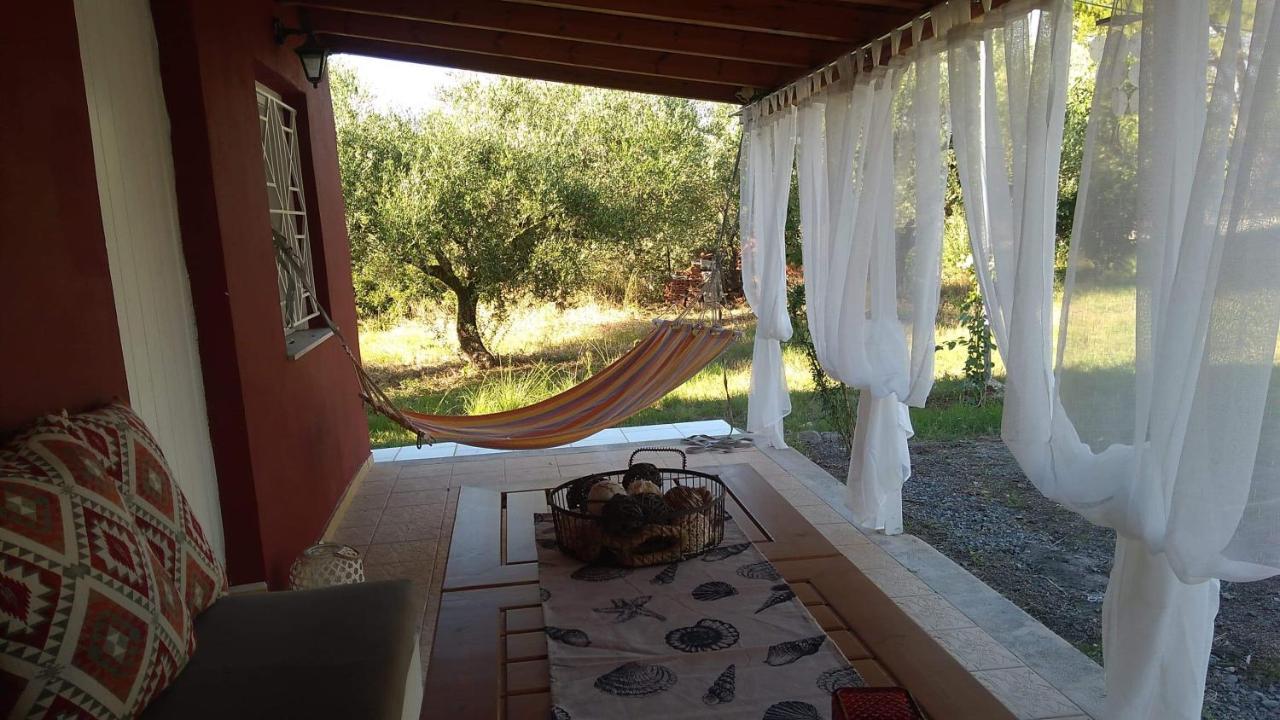 Olive Garden Guest House Кипарисия Екстериор снимка