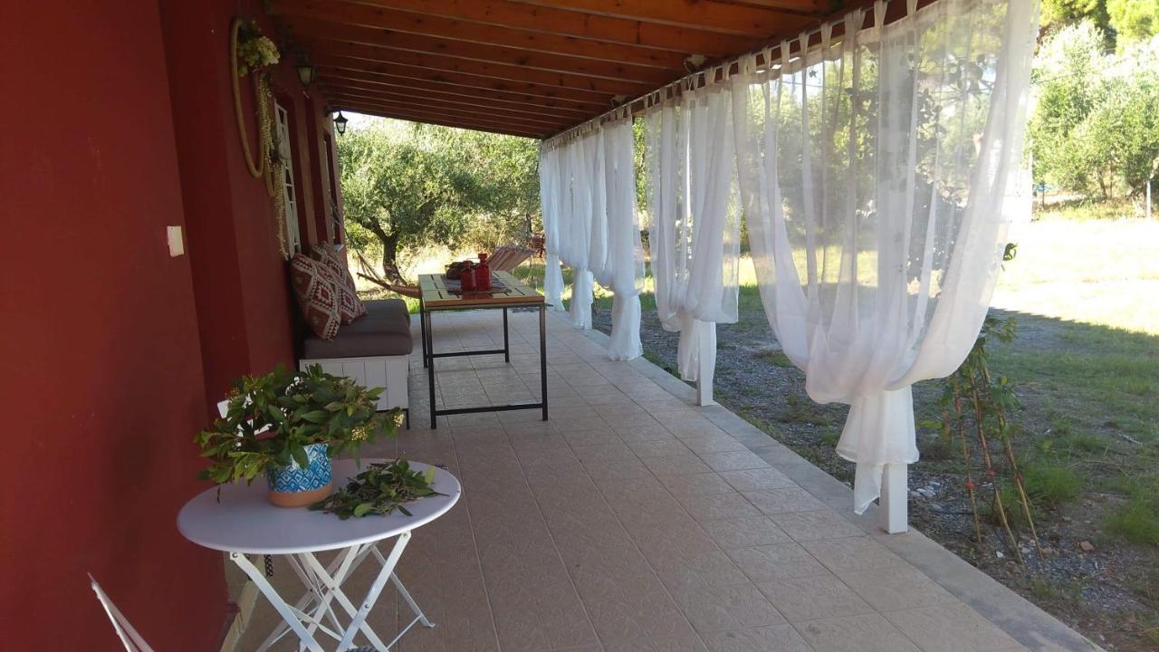 Olive Garden Guest House Кипарисия Екстериор снимка