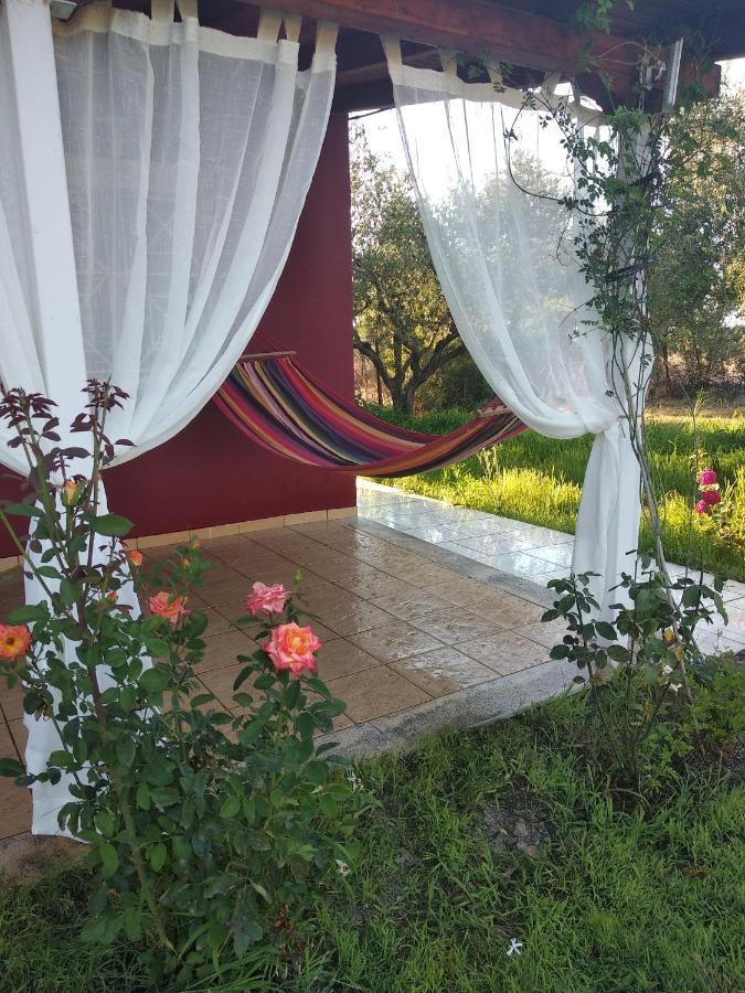 Olive Garden Guest House Кипарисия Екстериор снимка