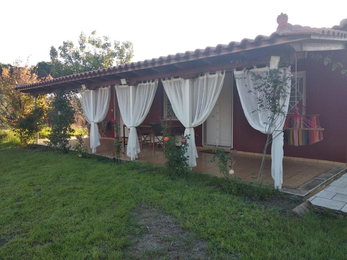 Olive Garden Guest House Кипарисия Екстериор снимка
