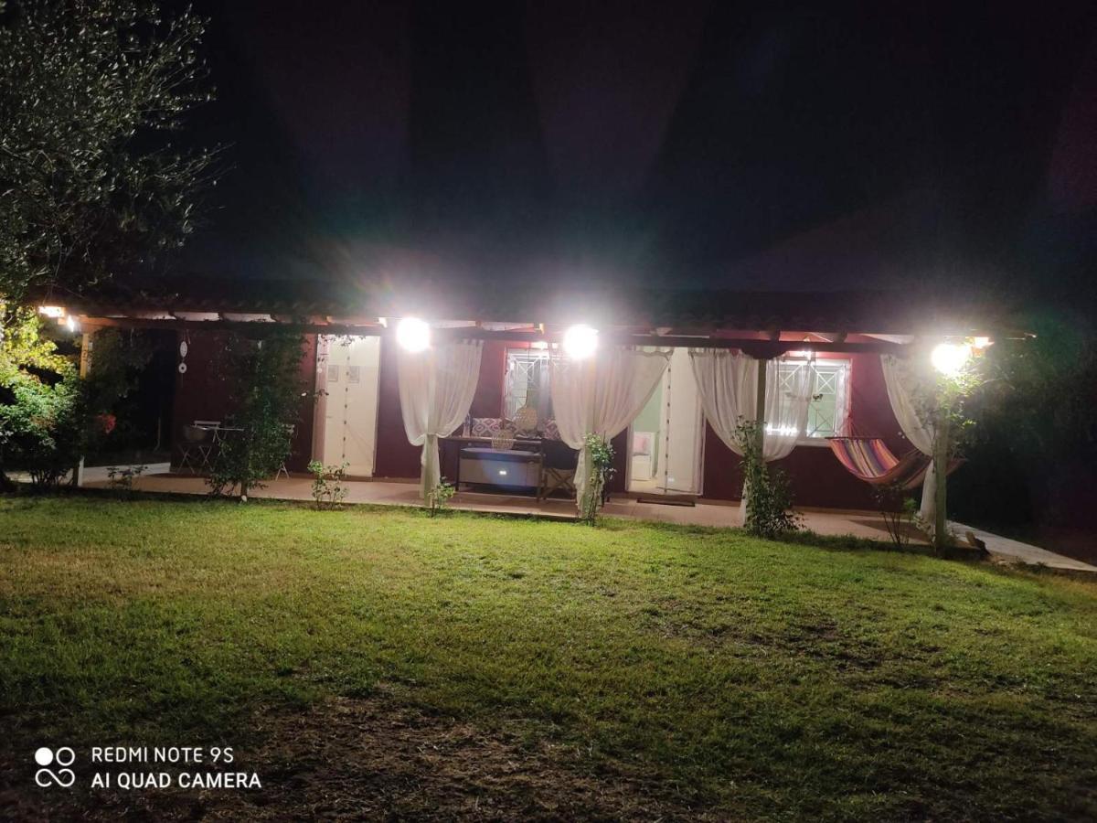 Olive Garden Guest House Кипарисия Екстериор снимка